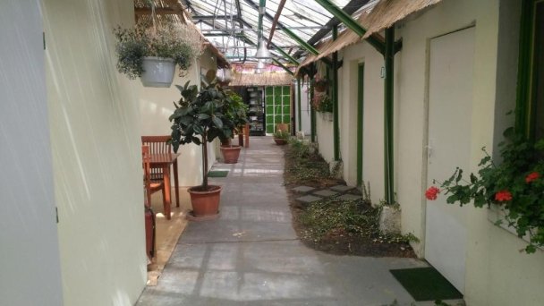 Rastlinky.sk Greenhouse Guestrooms Bratislava Ružinov 20 Rastlinky.sk Greenhouse Guestrooms Bratislava Ružinov 20