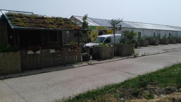 Rastlinky.sk Greenhouse Guestrooms Bratislava Ružinov 22 Rastlinky.sk Greenhouse Guestrooms Bratislava Ružinov 22