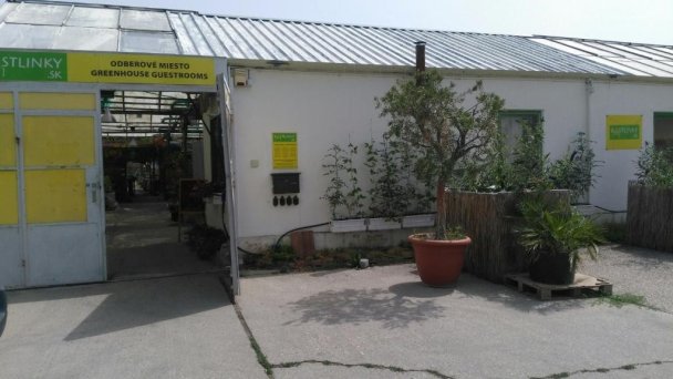 Rastlinky.sk Greenhouse Guestrooms Bratislava Ružinov 23 Rastlinky.sk Greenhouse Guestrooms Bratislava Ružinov 23