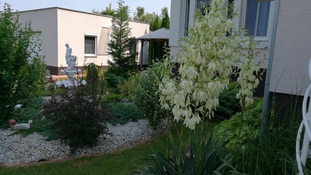 Apartmány Šarlota Veľký Meder 25 Apartmány Šarlota Veľký Meder 25