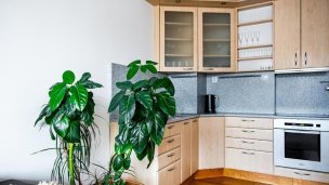 Apartmán Štrbské Pleso 4