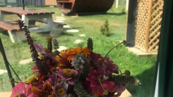TinyHouses & Garden Oravská Poruba 11 TinyHouses & Garden Oravská Poruba 11