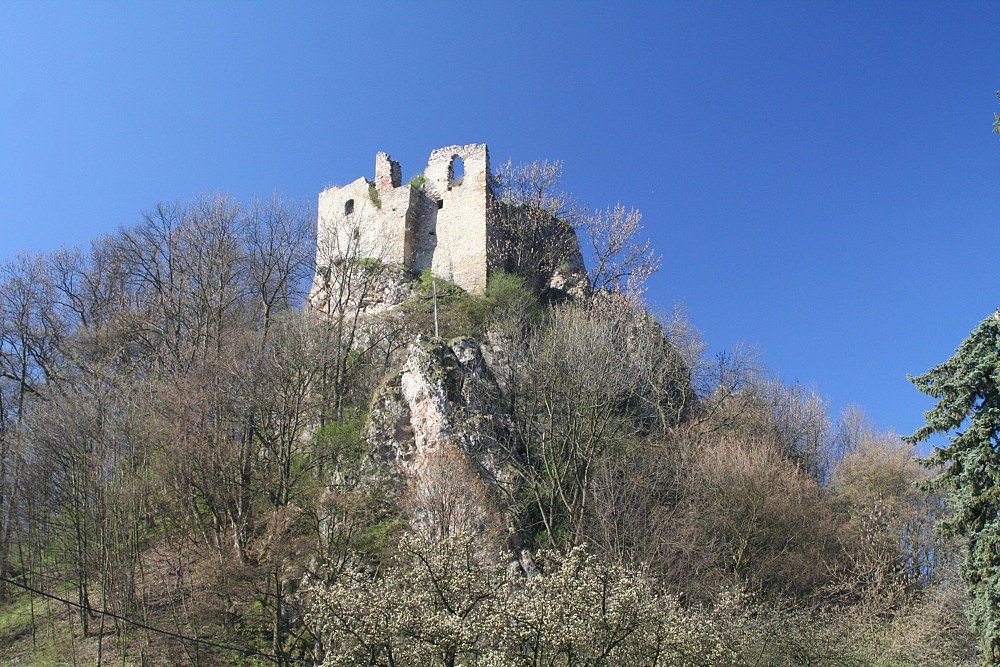 Zrúcanina hradu Lednica na skalnom brale v obklopení stromov