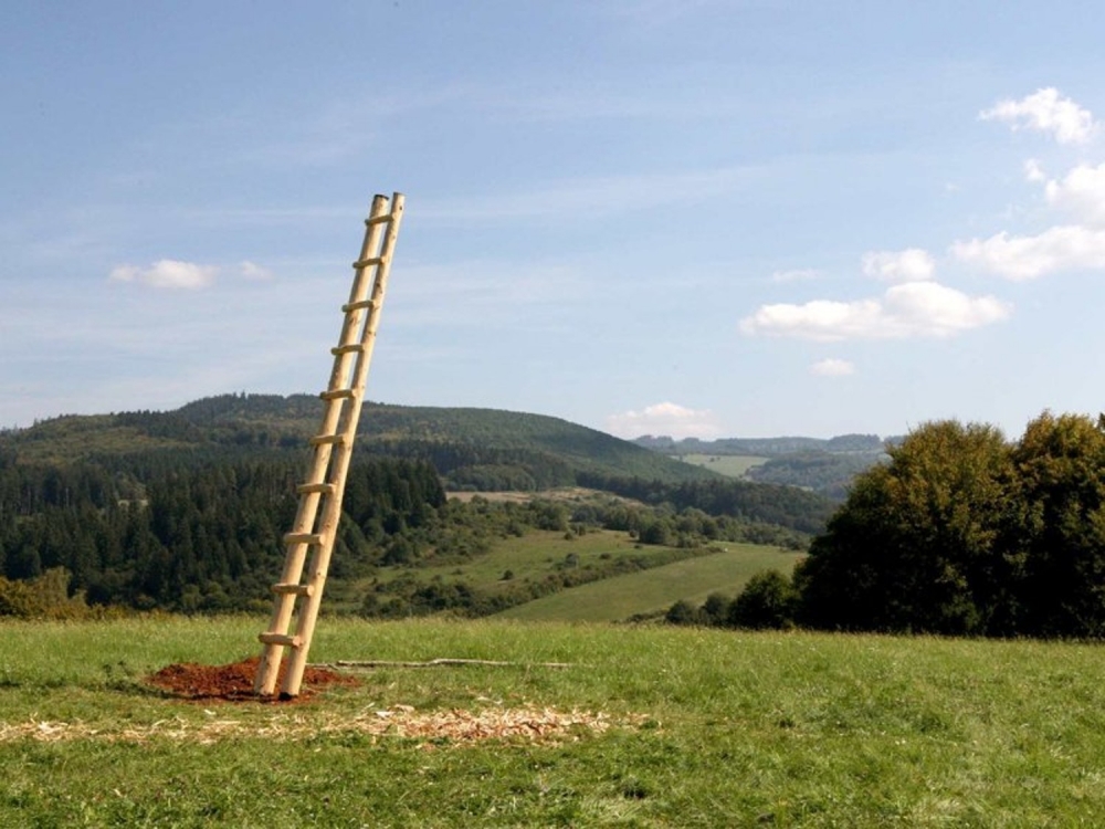Obrovský drevený rebrík na zelenej lúke ako atrakcia