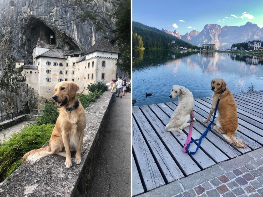 Psík na výlete v Predjame, Slovinsko a dva psy pri jazere Lago du Missurina v Taliansku.