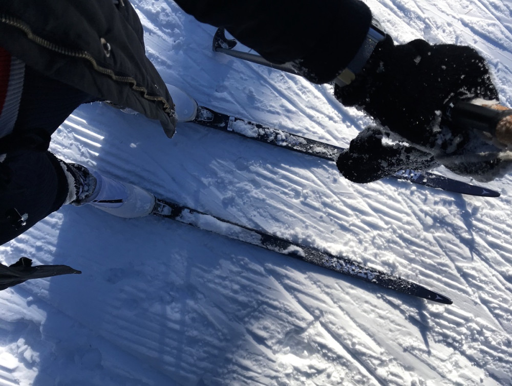 Nohy v bežkách a ruka držiaca bežkársku palicu na snehu.