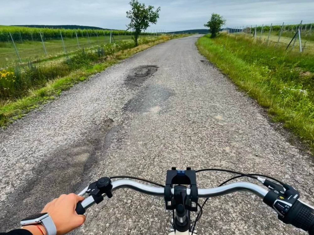 Žena na dámskom bicykli na cyklotrase obklopenej lúkami a stromami.