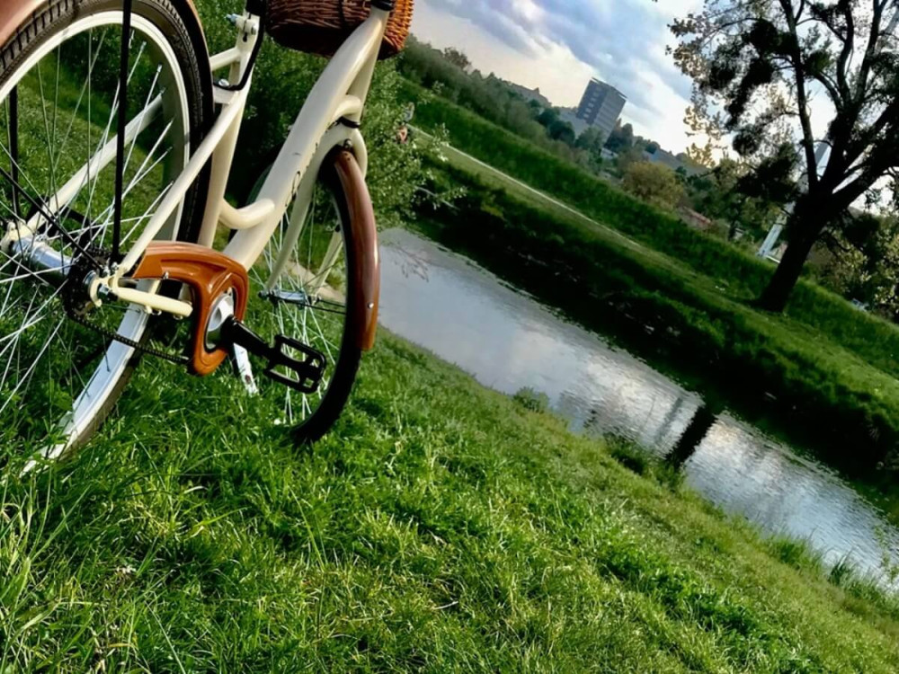Retro bicykel pri rieke s košíkom a výhľadom na zeleň.