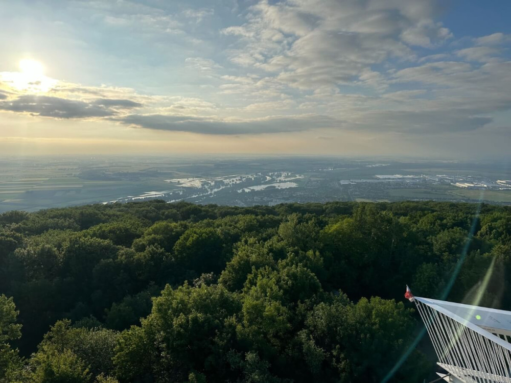 Výhľad z kovovej vyhliadky na zelené lesy a vzdialenú planinu.