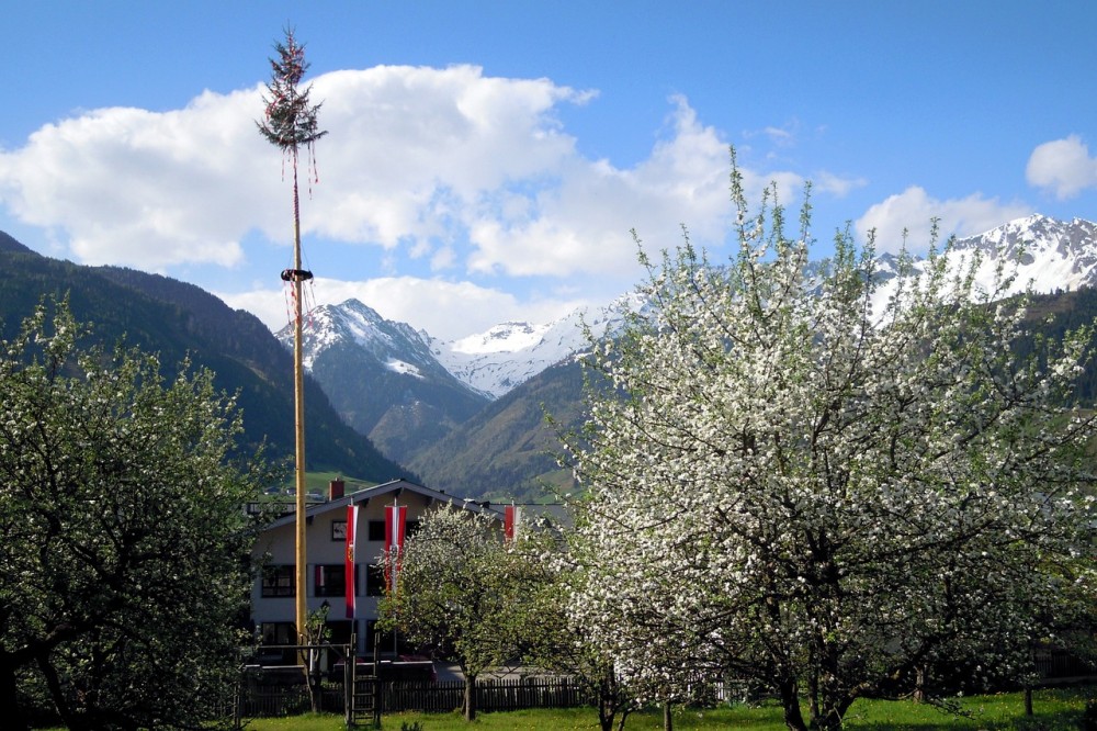 vysoký máj na oslavu 1. mája, v pozadí vidieť pohorie a okolitú prírodu