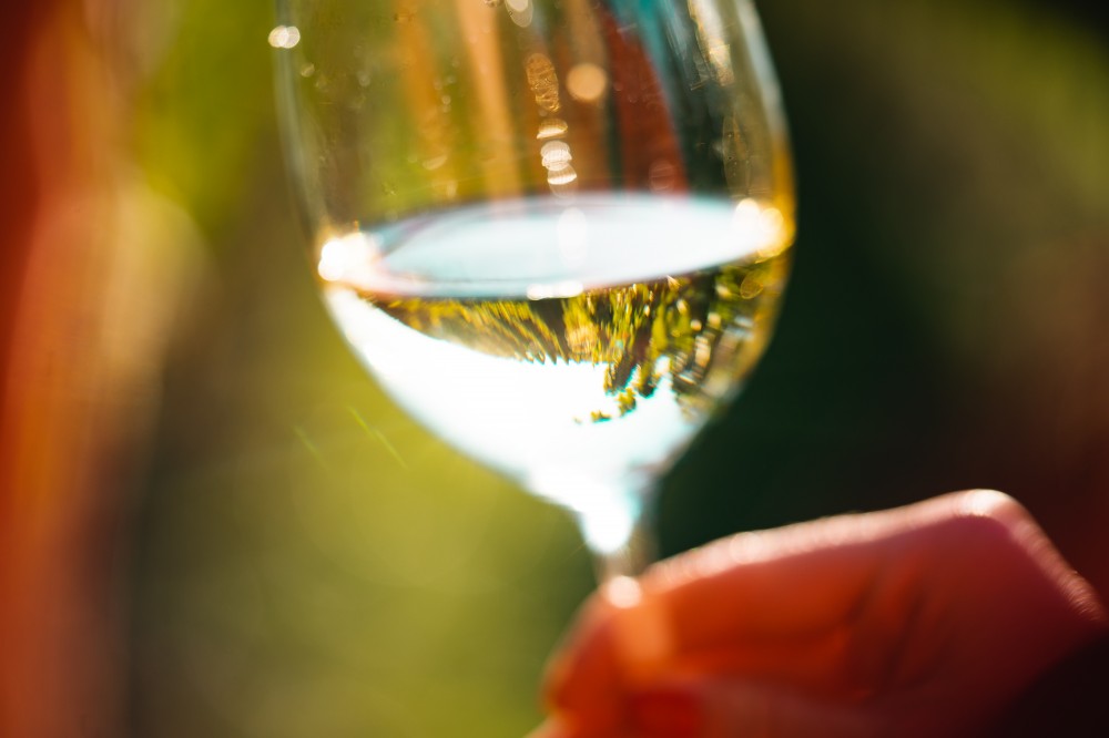 Biele šumivé víno naliate do polovice čistého skleného pohára