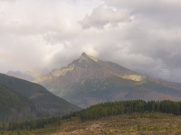 vyhladzizbynakrivan.jpg