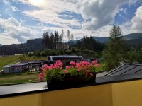 img_20200816_095508.jpg