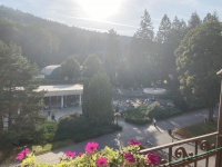 img_3024.jpeg