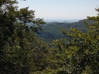 img_20230928_120215.jpg