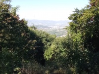 img_20230928_120547.jpg