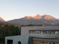 20230926_063734.jpg