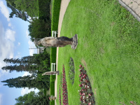 20250609_111601.jpg