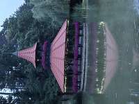 20250626_211314.jpg