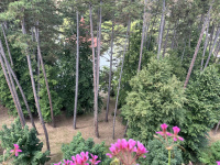 img_3452.jpeg