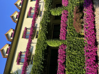 img_3488.jpeg