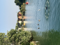 img_5471.jpeg