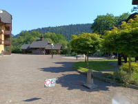 img_20250815_101723.jpg
