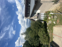img_0320.jpeg