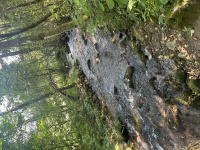 img_0330.jpeg
