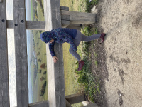 img_8674.jpeg