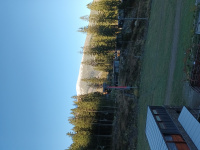 20251019_090125.jpg