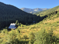 20260813_075553.jpg