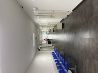 img_1062.jpeg